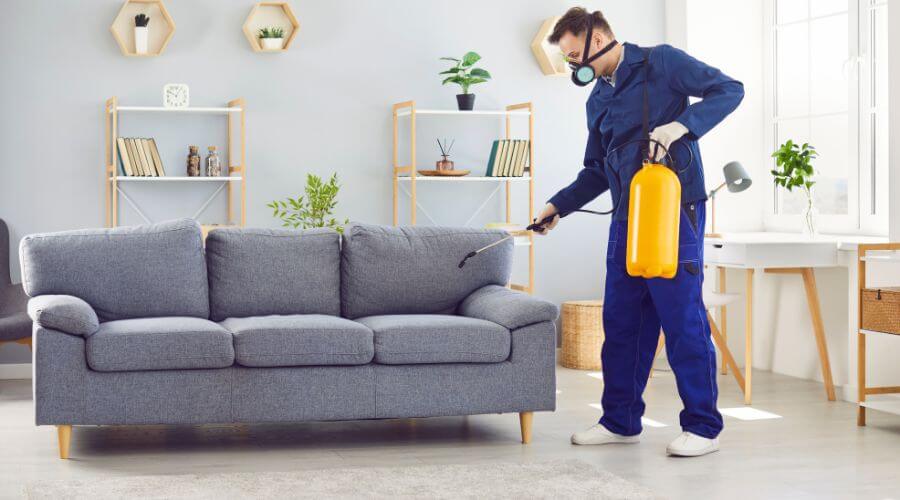 Professional monthly pest prevention plans services in Idylwood - Idylwood Monthly Pest Prevention Plans
