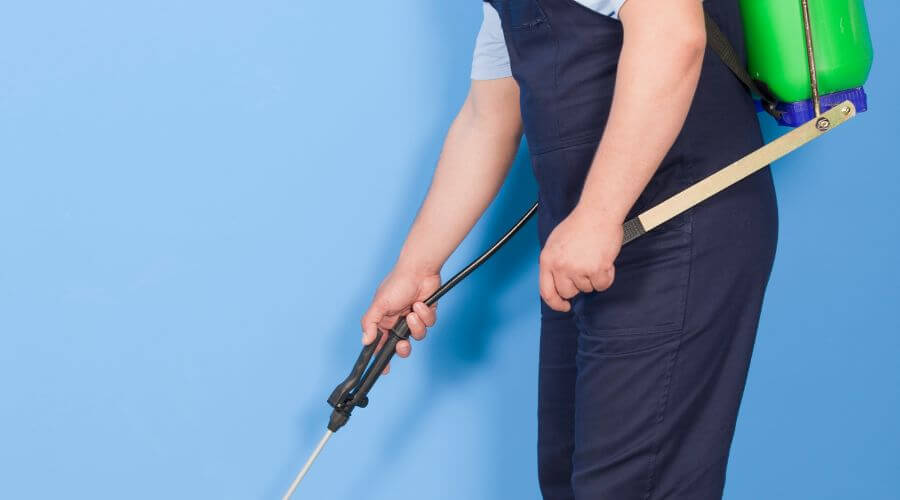 Why choose Idylwood Monthly Pest Prevention Plans for monthly pest prevention plans in Idylwood